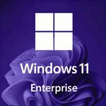 Windows 11 Enterprise Key