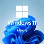 Windows 11 Home OEM Key