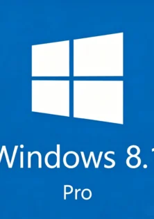 Windows 8.1 Professional Key