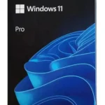 Windows 11 Professional USB Box