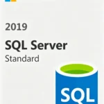 SQL Server 2019 Standard Key